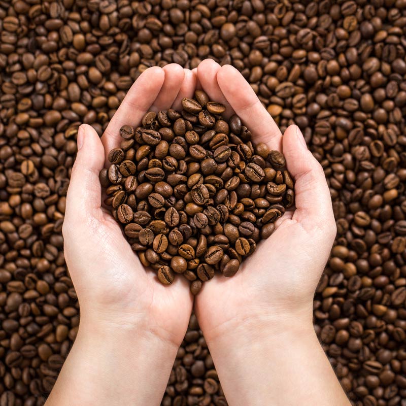 Bohnenqualität die mann schmeckt Erstklassige Kaffeebohnen kaufen
